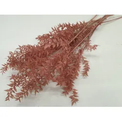 Ruscus powder rose +/-200gr 