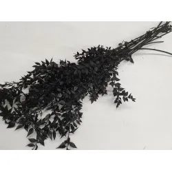 Ruscus black +/-200gr