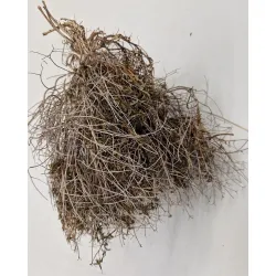 Scarciuffo naturel +/-100gr