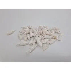 Coquilles cerithum vertagus +/-200gr