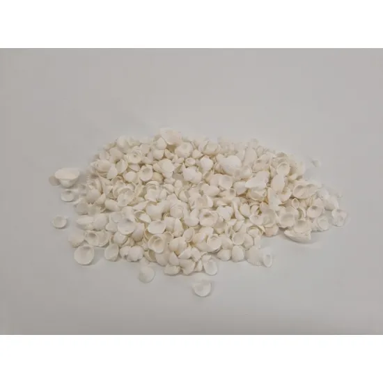 Shells cockle mini white +/-150gr