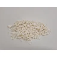 Coquilles cockle mini white +/-1kg