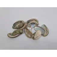 Coquilles haliotis pulcherimma naturel 1kg