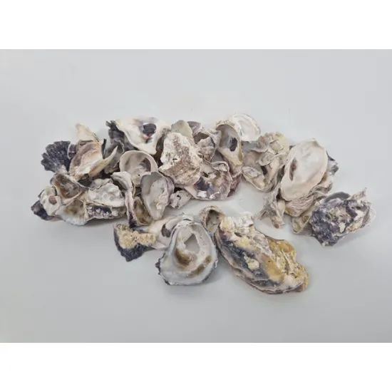 Shells oister (crassostrea gigas) +/-200gr