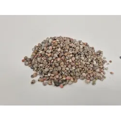 Shells pambookan +/-200gr