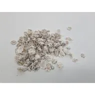 Coquilles patella sacharina +/-200gr