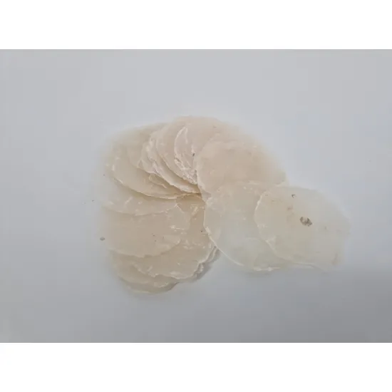 Shells placuna mini natural +/-100gr