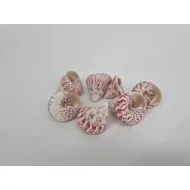 Coquilles troca rouge +/-200gr