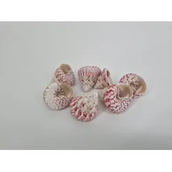 Shells troca red +/-200gr