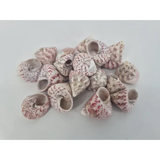 Shells troca red +/-650gr