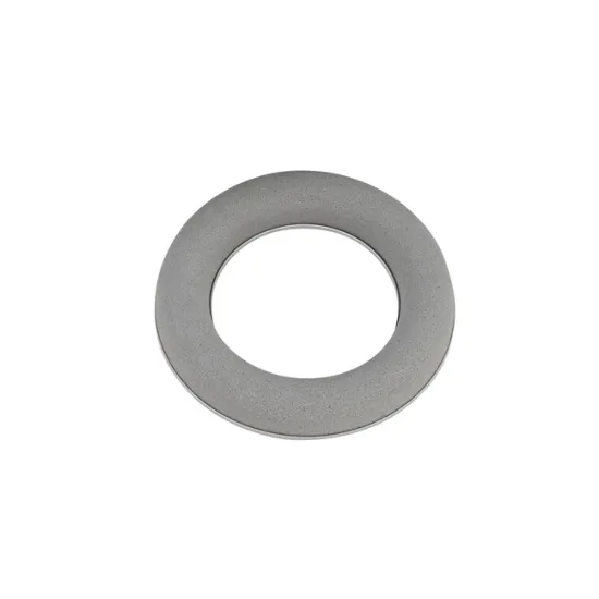 Oasis sec ring 20cm 1pc