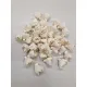 Shola pivoine 4cm naturel 40pcs