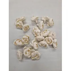 Shola pioen 6cm naturel 20st