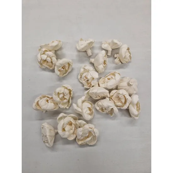 Shola pivoine 6cm naturel 20pcs
