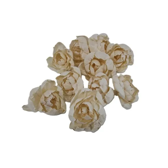 Shola pioen 8cm naturel 10st