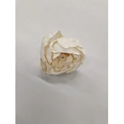 Shola pioen 8cm naturel 10st