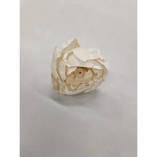 Shola pioen 8cm naturel 10st