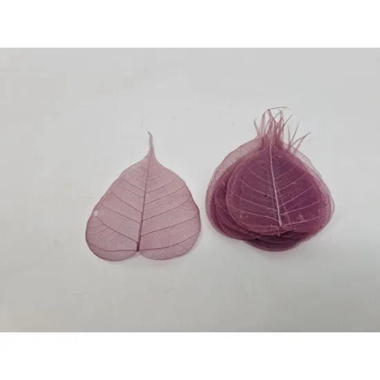 Skeletblad aubergine +/-25st