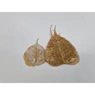 Skeleton leaf gold 100pcs
