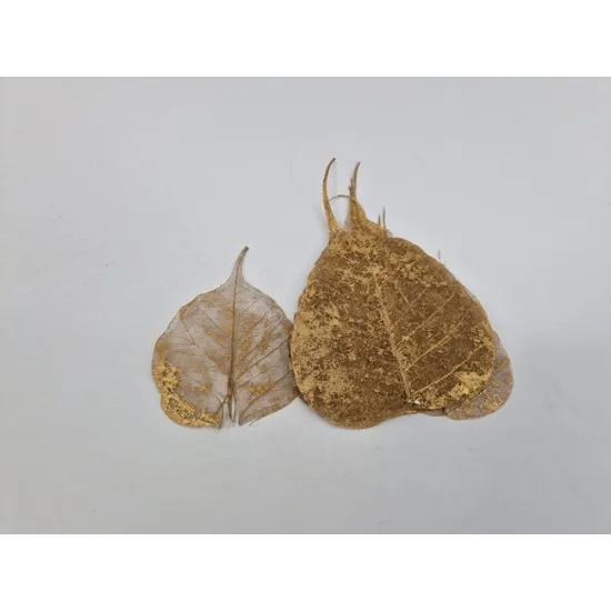 Skeletblad goud +/-25st