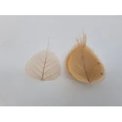Skeletblad naturel 100st