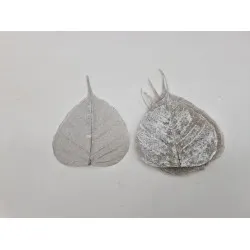 Skeletblad zilver 100st