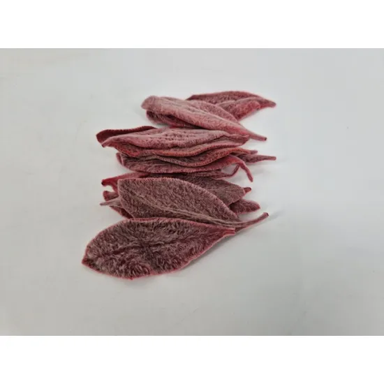 Stachysblad geconserveerd bordeaux 75st