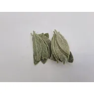 Stachys leaf preserved green 75pcs