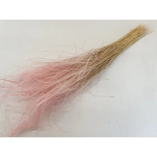 Stypha penata large rose +/-50gr