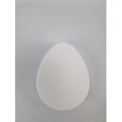Styropor oeuf plane 5x30cm
