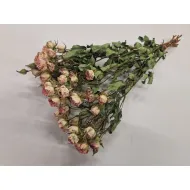 Trosrozen creamy twister naturel