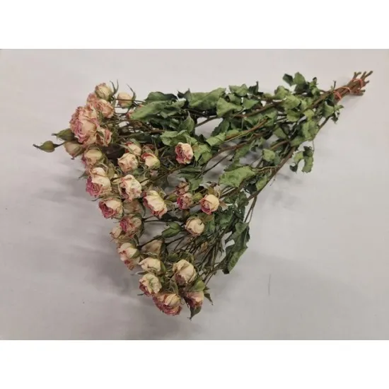 Spray roses creamy twister natural