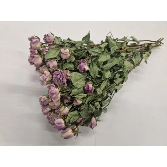 Roses spray lila -silver shadow naturel