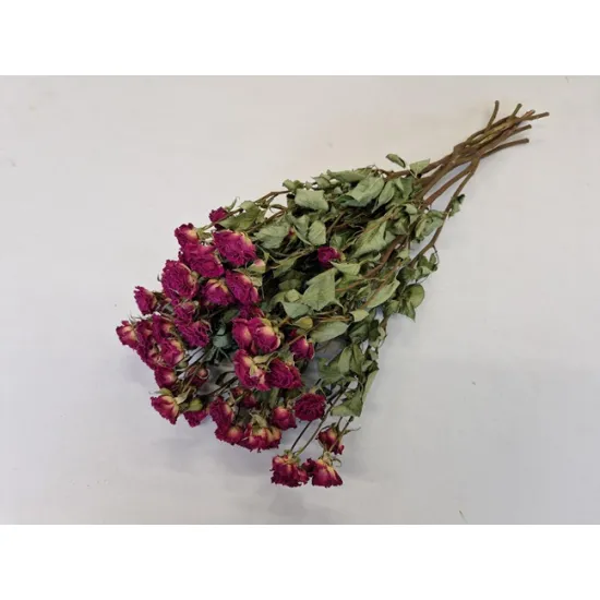 Trosrozen paars - lianne naturel