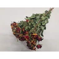 Trosrozen rood/geel - fire flash naturel