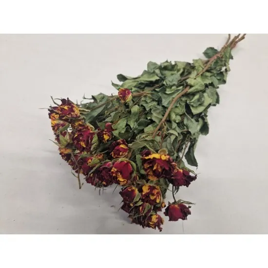 Spray roses red/yellow - fire flash natural