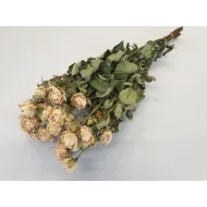 Roses spray blanc naturel