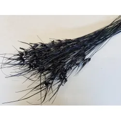 Tulip star grass noir +/-100gr   