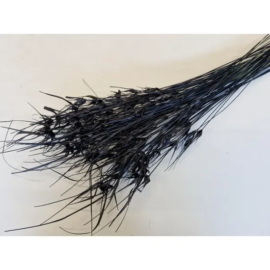Tulip star grass zwart +/-100gr