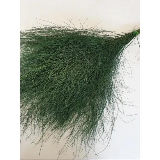 Tiki geconserveerd groen 25st