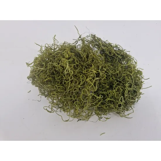 Tislandsia (tillandsia) appelgroen +/-30gr