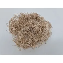 Tillandsia (tillandsia) bleached +/-30gr