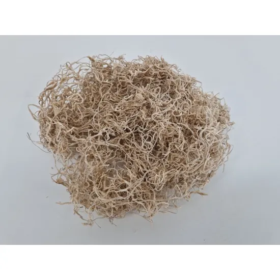 Tillandsia (tillandsia) bleached +/-30gr