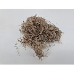 Tislandsia (tillandsia) naturel +/-30gr