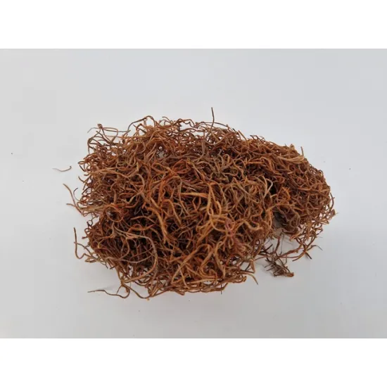 Tillandsia (tillandsia) cognac +/-200gr