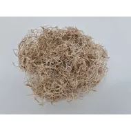 Tislandsia (tillandsia) blanchi +/-200gr