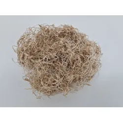 Tillandsia (tillandsia) bleached +/-200gr