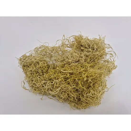 Tillandsia (tillandsia) yellow +/-30gr
