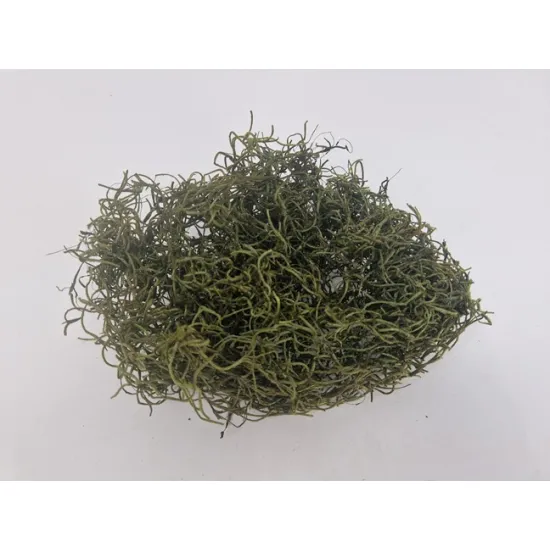 Tislandsia (tillandsia) mosgroen +/-200gr