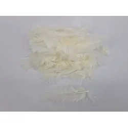 Plumes flats ecru +/-10gr